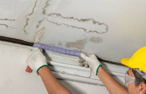 Reliable Water Damage Repair contractor in Colchester, IL by Aqua Guard Water Damage